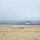 하루의 힐링 이미지