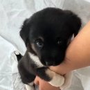 보검사우나 | 6월은 새옹지마
