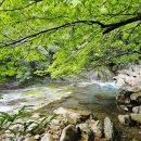 버스정류소_천제연폭포 이미지