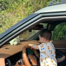 다시오다스테이 이미지