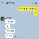 스카이포 이미지