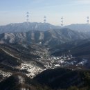 근자농장 티스토리