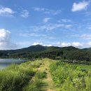 용연상회 이미지