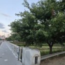 동삭2교 이미지