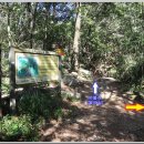 상학초교 이미지