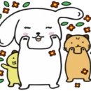 금강산브레드 이미지