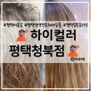하이컬러평택 청북점 탈색염색머리 밀본클리닉 받고 온 후기 평택 염색전문 헤어살롱