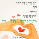 피부미인인셀덤 이미지