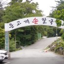 엄미길 이미지