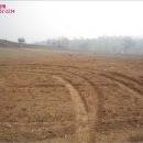 화성월문초등학교 이미지