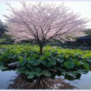 또바기약국 이미지