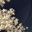 신정호수공원-6 이미지