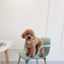 PC오태로 이미지