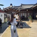 경주 벚꽃투어 1박 2일 여행코스 02.