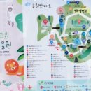 아모르 루시 이미지