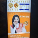 노모어피자원주 이미지