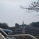 서구장애인협회 이미지