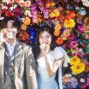 스튜디오;꽃