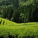 문덕보건지소 이미지