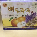 수지건강원 - 관악구 미성3길 17 | 수지건강원