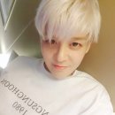 강성훈 카카오 검색결과