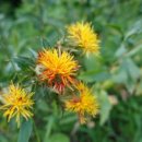 심호당한의원 이미지