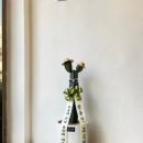 백운각 | 대구개업화분 선인장 백운각 , 백섬밍크 백망룡 , 청화각 배송후기 , 유니크한 개업선물 추천 합니다 !