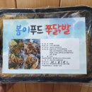 쭈닭발