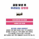 파주교통 티스토리