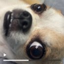 기가찬 PC방 | 10x2