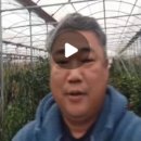 병곤농장 이미지