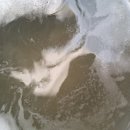 청구크리닝 이미지