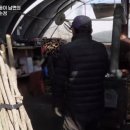 순정민박 이미지