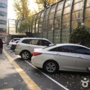 서울특별시교육청 도봉도서관 Daum카페