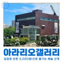한국화(1년) | 천안 가볼만한곳｜입장료 3천원 아라리오갤러리 전시회 후기