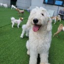 견상낙원 이미지