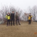 은지초등학교 이미지