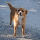 큰골낚시터 이미지