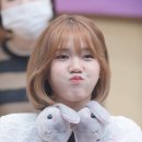 아회