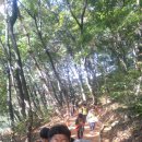 트니트니유치원 이미지