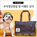 미니펫 이미지