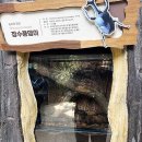 서천반점 | 군산 옆 서천 국립생태원 에코리움 방문기