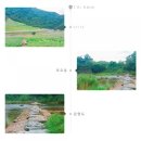 대촌관광농원 이미지