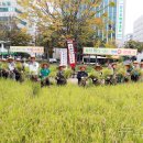 울산광역시시청 이미지