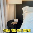 후랩스 | 멜라토닌영양제 찾다가 알게된 개별포장 뉴로랩스 솔직후기
