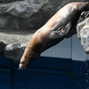 외궁슈퍼 이미지