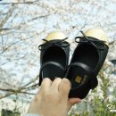 블랙펀트 이미지