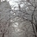 하모니카 배우기 이미지