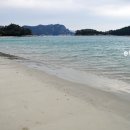 통리 솔밭해변 이미지