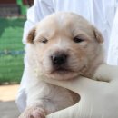 회수동-2 이미지